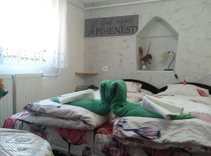 Gæstehus Margareta Panzio Sárospatak