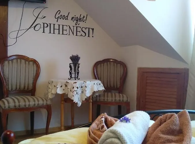 Margareta Panzio Gæstehus Sárospatak